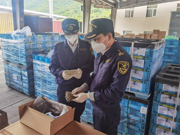 Podporovať zahraničný obchod s cieľom zabezpečiť stabilitu a zlepšiť kvalitu Colné úrady Ningbo vydali 20 „základných“ opatrení