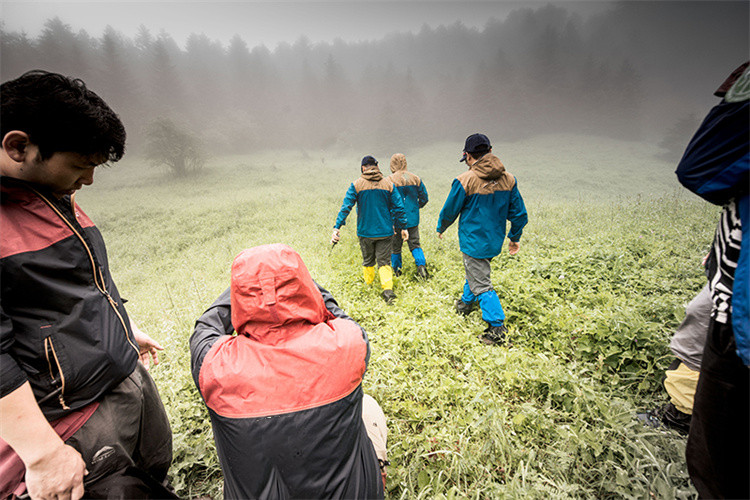 Čo je SURVIVA Wilderness Survival?